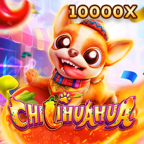 Fachai Chihuahua tại 12win game